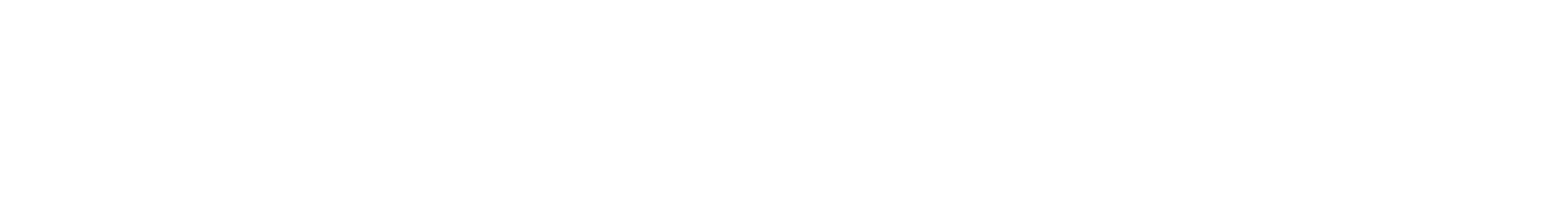 Softechware Logo